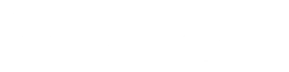 20wickets logo